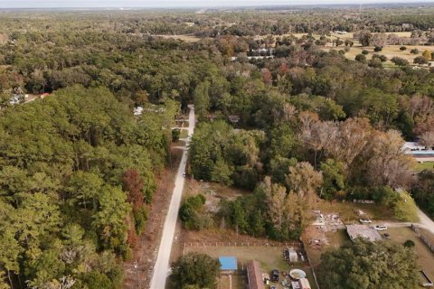 Terrain à vendre à Ocala, Floride № 2160235 - photo 17