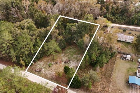 Terrain à vendre à Ocala, Floride № 2160235 - photo 3