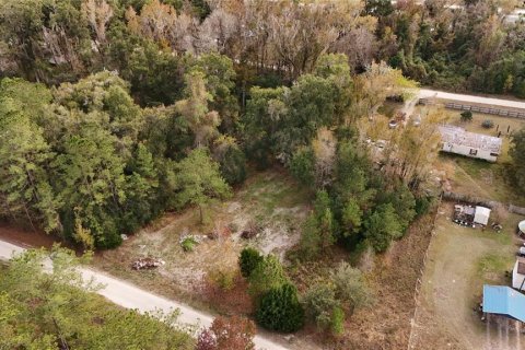 Terrain à vendre à Ocala, Floride № 2160235 - photo 4