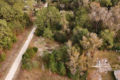 Terrain à vendre à Ocala, Floride № 2160235 - photo 6