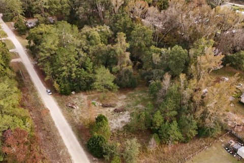 Terrain à vendre à Ocala, Floride № 2160235 - photo 5