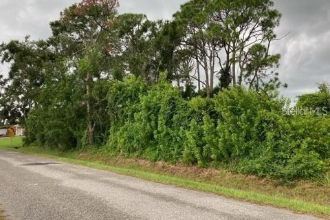 Land in Venice, Florida № 1673316 - photo 2