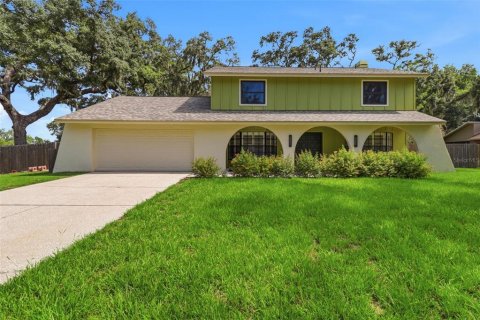House in Brandon, Florida 4 bedrooms, 229 sq.m. № 2225469