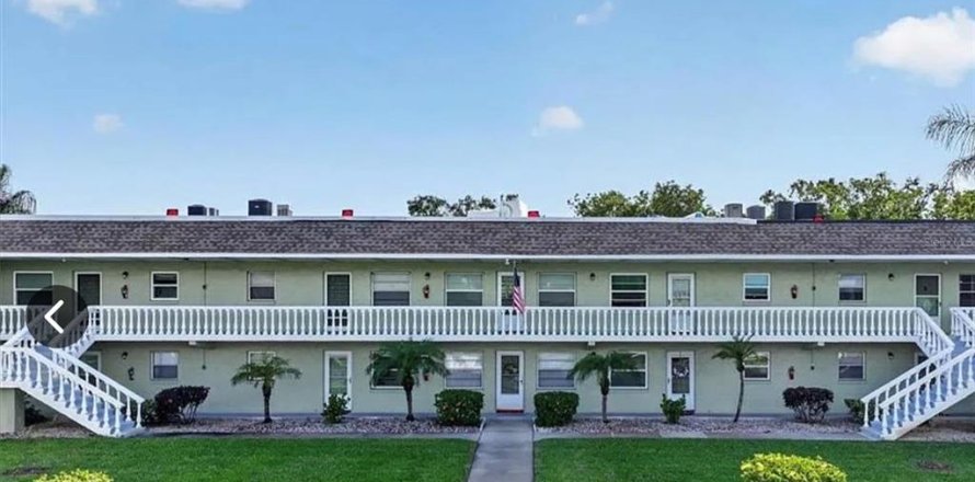 Condo à Tarpon Springs, Floride, 1 chambre № 2156849