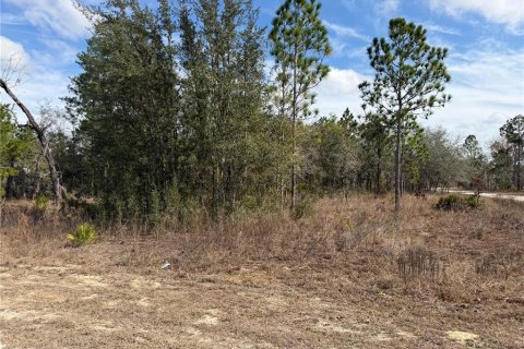 Villa ou maison à vendre à Brooksville, Floride: 3 chambres, 129.04 m2 № 2232249 - photo 7