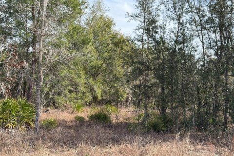 Villa ou maison à vendre à Brooksville, Floride: 3 chambres, 129.04 m2 № 2232249 - photo 5
