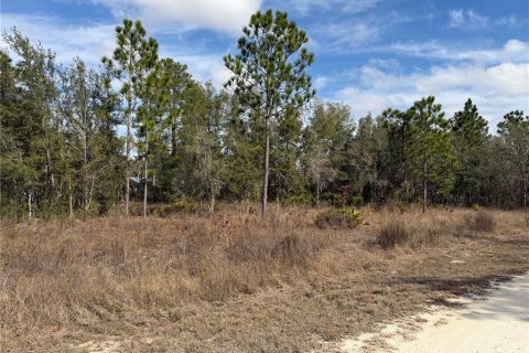 Villa ou maison à vendre à Brooksville, Floride: 3 chambres, 129.04 m2 № 2232249 - photo 8