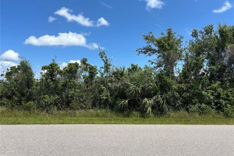 Land in Port Charlotte, Florida № 2164898 - photo 3