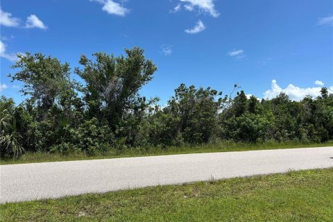 Land in Port Charlotte, Florida № 2164898 - photo 7