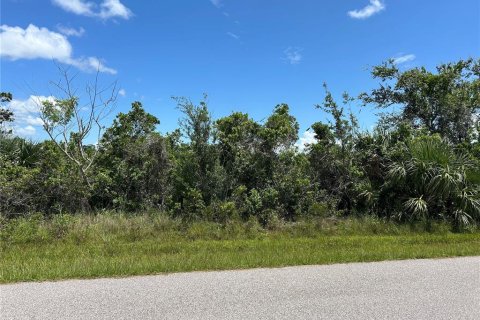 Land in Port Charlotte, Florida № 2164898 - photo 8