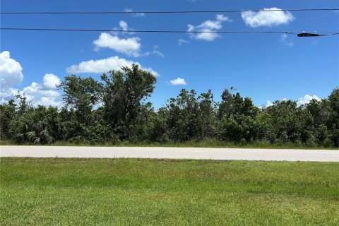 Land in Port Charlotte, Florida № 2164898 - photo 4