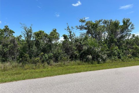 Land in Port Charlotte, Florida № 2164898 - photo 9