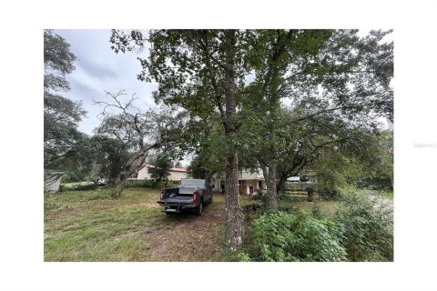 Villa ou maison à vendre à Umatilla, Floride: 3 chambres, 135.64 m2 № 1908019 - photo 3