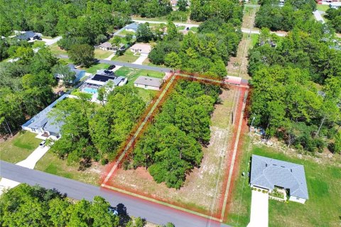 Terrain à vendre à Ocala, Floride № 1828380 - photo 3