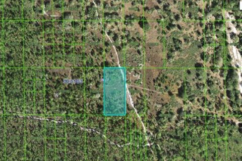 Terreno en Lake Wales, Florida № 2202849