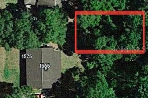 Land in DeLand, Florida № 2162356 - photo 3