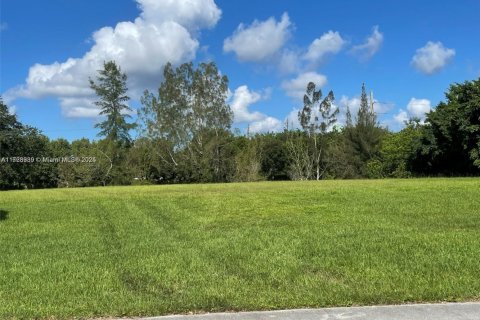 Land in Weston, Florida № 1478397 - photo 11