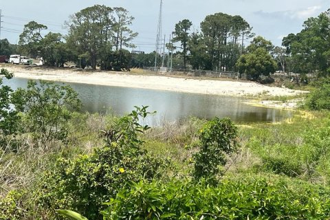 Land in Orlando, Florida № 1716550 - photo 3