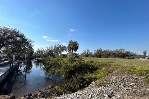 Terrain à vendre à Punta Gorda, Floride № 1527608 - photo 6