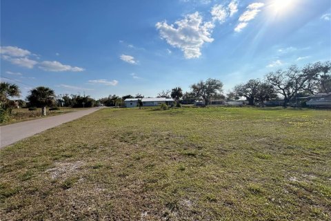 Terrain à vendre à Punta Gorda, Floride № 1527608 - photo 4