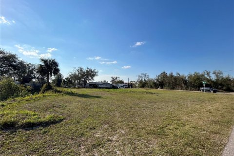 Terrain à vendre à Punta Gorda, Floride № 1527608 - photo 5