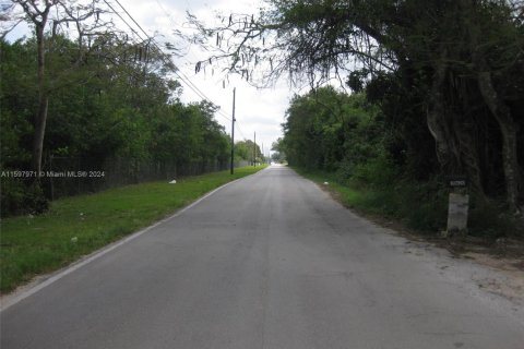 Terreno en venta en Homestead, Florida № 1855366 - foto 8