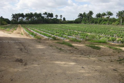 Terreno en venta en Homestead, Florida № 1855366 - foto 6