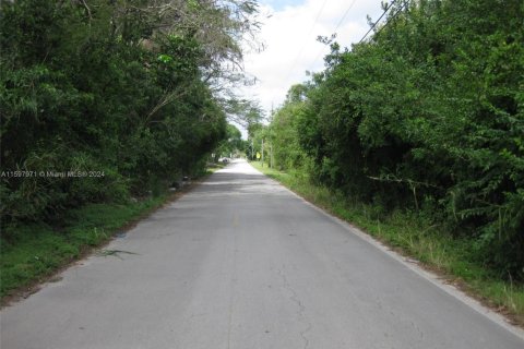 Terreno en venta en Homestead, Florida № 1855366 - foto 7