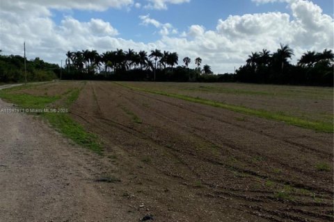 Terreno en venta en Homestead, Florida № 1855366 - foto 9