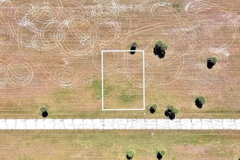 Land in Placida, Florida № 2165656 - photo 2