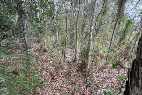 Land in Lehigh Acres, Florida № 2161762 - photo 4