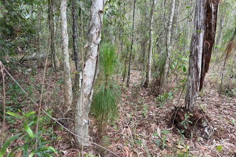 Land in Lehigh Acres, Florida № 2161762 - photo 3