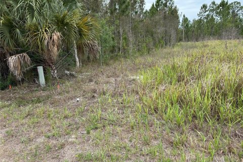 Land in Lehigh Acres, Florida № 2161762 - photo 2