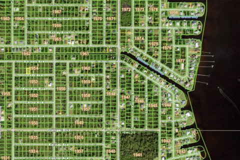 Land in Port Charlotte, Florida № 2393436 - photo 4