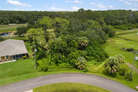 Terreno en venta en North Port, Florida № 1885884 - foto 2