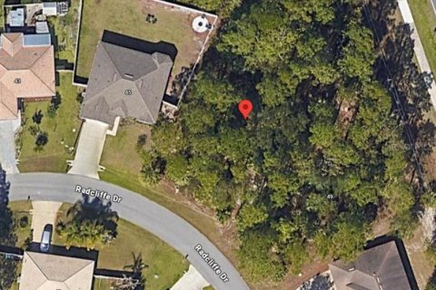 Terreno en venta en Palm Coast, Florida № 1885926 - foto 1