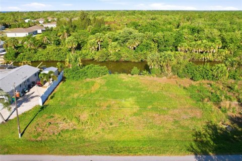 Terrain à vendre à Punta Gorda, Floride № 2234035 - photo 3