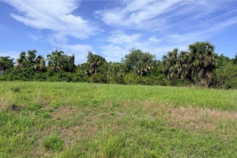 Terrain à vendre à Punta Gorda, Floride № 2234035 - photo 2