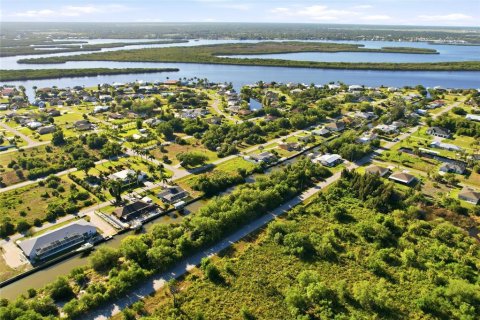 Terrain à vendre à Punta Gorda, Floride № 2234035 - photo 6