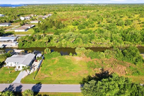 Land in Punta Gorda, Florida № 2234035