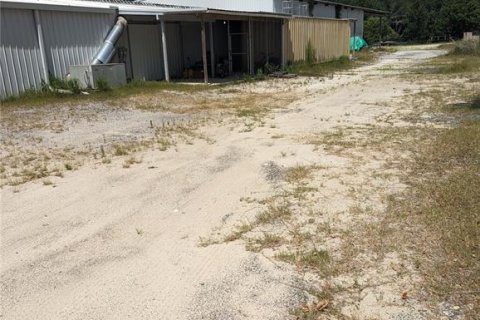 Immobilier commercial à vendre à Live Oak, Floride: 267.56 m2 № 1881357 - photo 15
