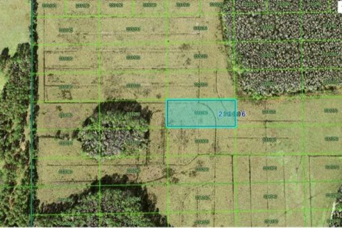 Terreno en Polk City, Florida № 2226937