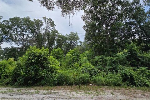 Land in Summerfield, Florida № 1828580 - photo 4