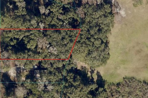 Land in Summerfield, Florida № 1828580 - photo 3
