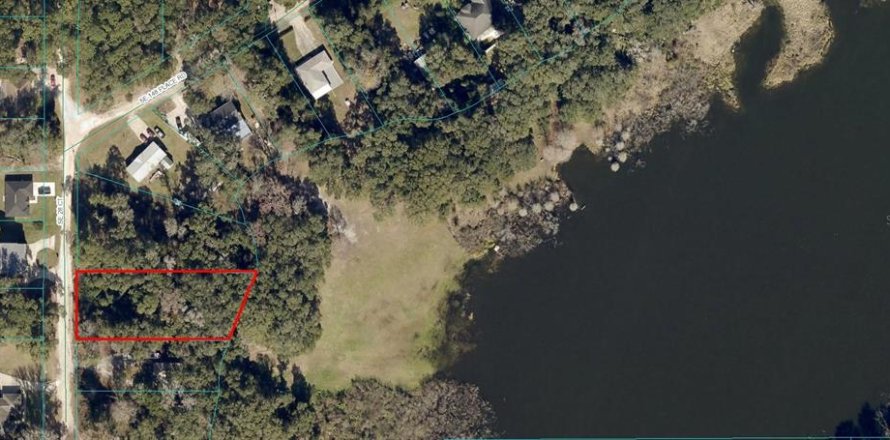 Land in Summerfield, Florida № 1828580