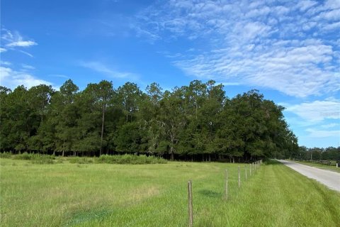 Terreno en venta en Oxford, Florida № 1919209 - foto 3