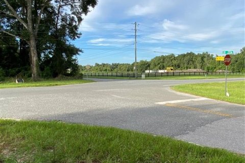 Terreno en venta en Oxford, Florida № 1919209 - foto 13