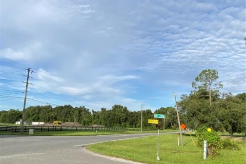 Terreno en venta en Oxford, Florida № 1919209 - foto 15