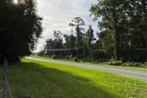 Terreno en venta en Oxford, Florida № 1919209 - foto 14