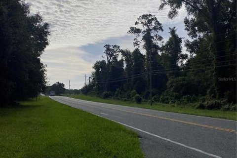 Terreno en venta en Oxford, Florida № 1919209 - foto 17